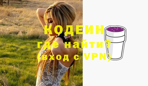 трава Няндома