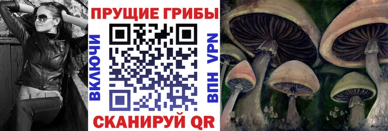 mega ссылки  Никольск  Псилоцибиновые грибы MAGIC MUSHROOMS  как найти закладки 