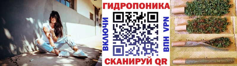 купить наркотик  Никольск  Канабис индика 